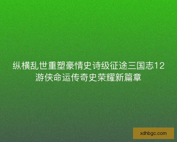 纵横乱世重塑豪情史诗级征途三国志12游侠命运传奇史荣耀新篇章 纵横乱世重塑豪情史诗级征途三国志12游侠命运传奇史荣耀新篇章